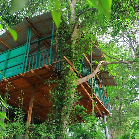 River Side Cabana Tissamaharama Luaran gambar