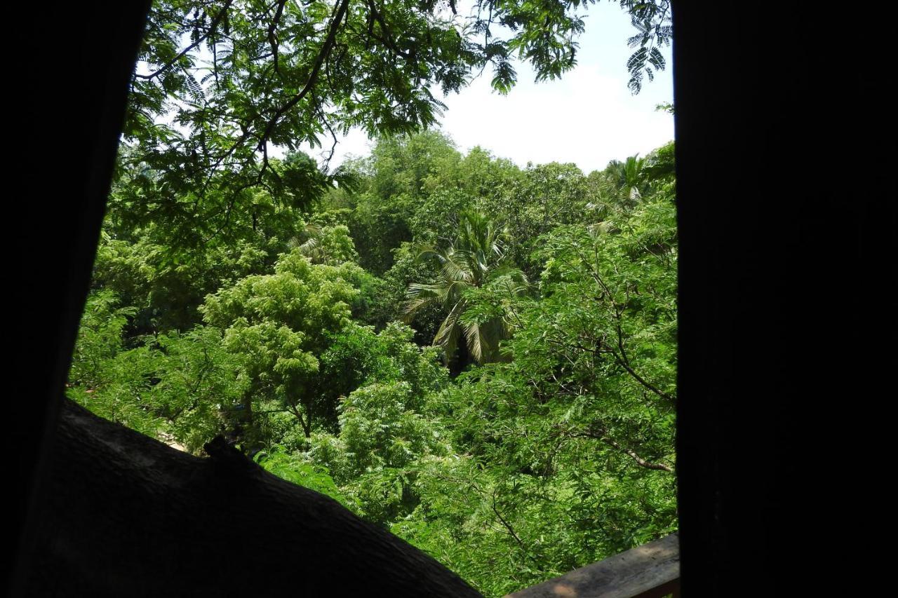 River Side Cabana Tissamaharama Luaran gambar