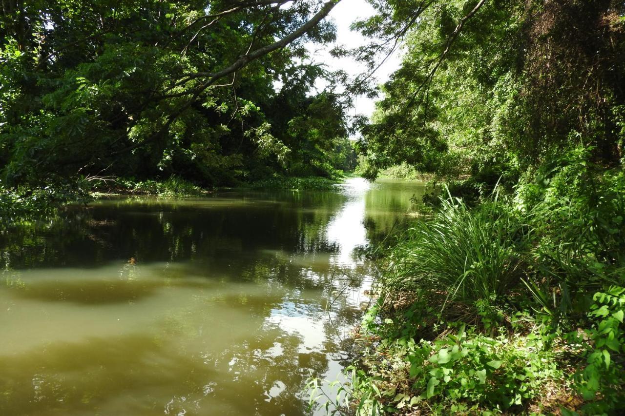 River Side Cabana Tissamaharama Luaran gambar